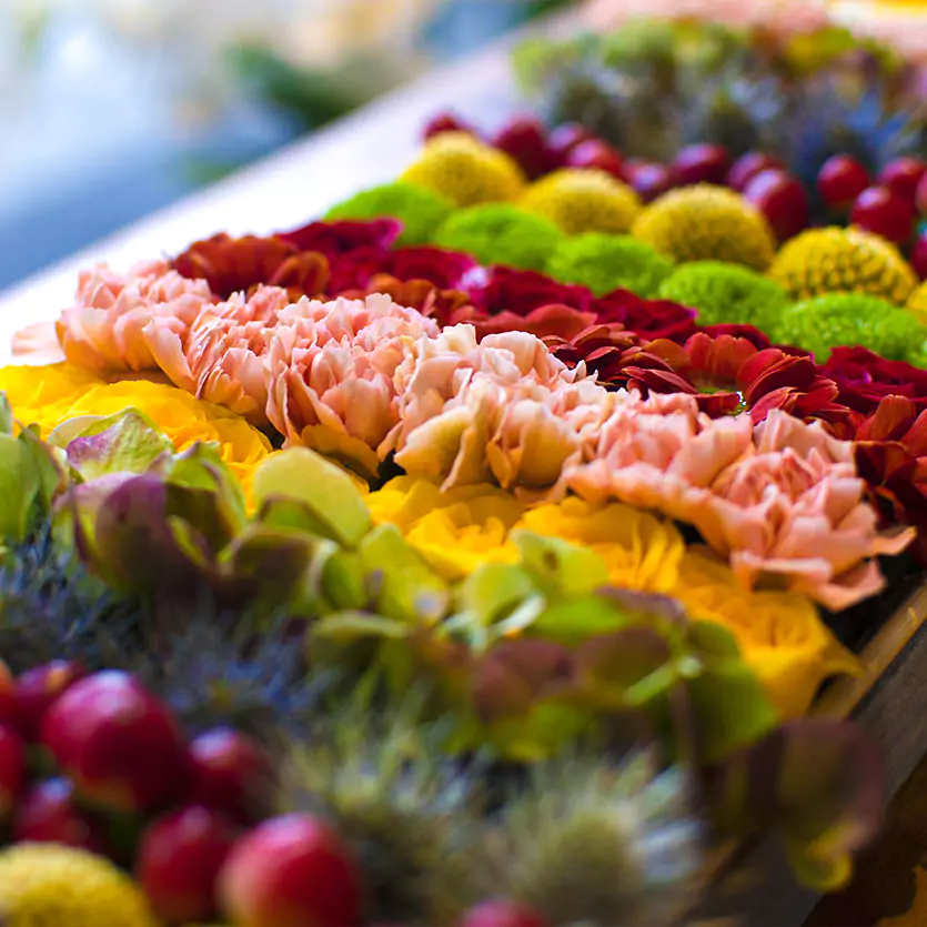 Sushi di fiori Carlo Fiori